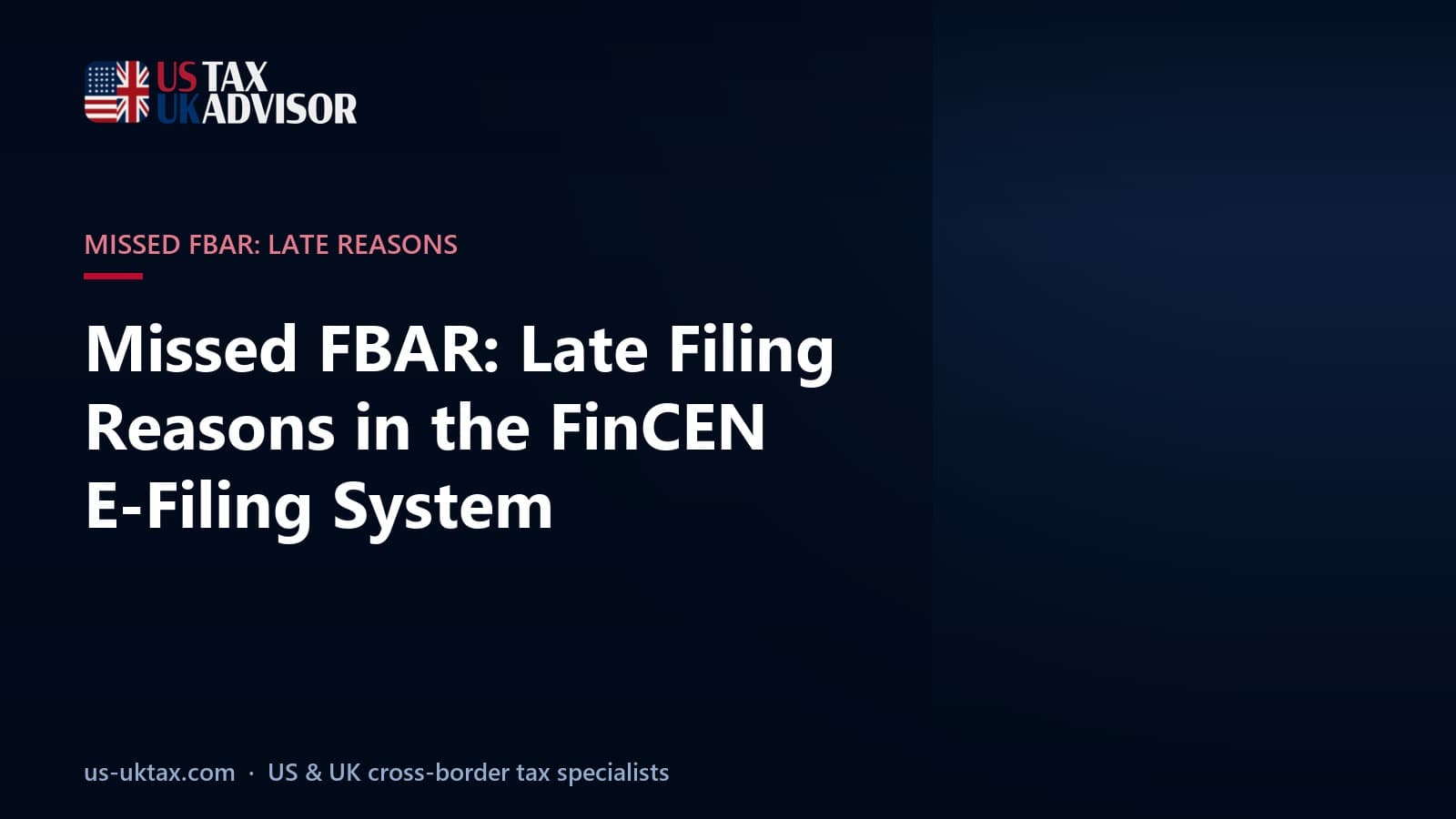 Missed FBAR: Late Filing Reasons in the FinCEN E-Filing System